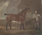 David Dalby The Racehorse 'Woodpecker' in a stall Sweden oil painting artist